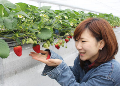 【お出かけ】地元女子イチオシ！岐阜・恵那でいちご狩りを楽しむなら馥郁農園